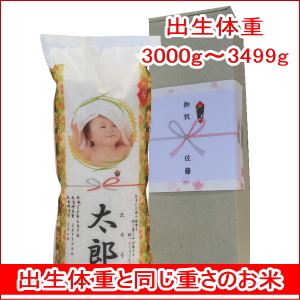 出産内祝い体重米　和紙化粧箱体重米　コシヒカリ3000g～3499g