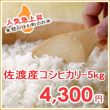 佐渡産コシヒカリ-5kg