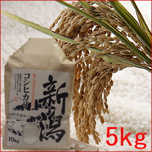 新潟産コシヒカリ-5kg