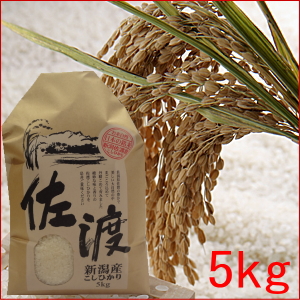 佐渡産コシヒカリ-5kg