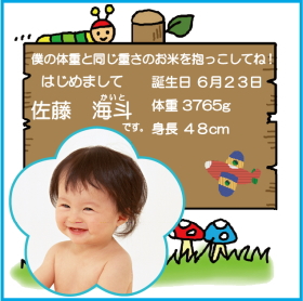 デザイン写真タイプ-22