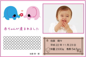 写真入りタイプ-2