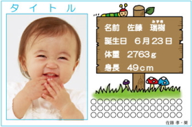 写真入りタイプ-17