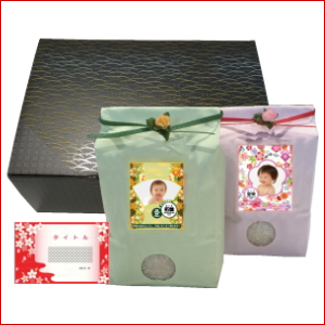 出産内祝い 双子米 緑り化粧箱-コシヒカリ4kg-詰合せ